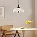LIGHTLAND Water Drop Pendant Light, 8.3 Inch Acrylic Crystal Dome Chandelier with Adjustable Hanging Wire 78.7 Inch for Bedroom, Hallway, Balcony, Bedside, Bar (Pack of 1)