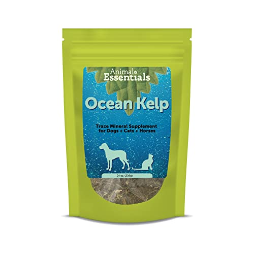 Animal Essentials Ocean Kelp Supplement Trace Minerals For Dogs And Cats, 24 Oz - Usda Certified Organic From Cold, Clean Icelandic Waters #TOP11