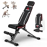 Roygym Panca Palestra Multifunzione, Panca Regolabile Panca Pesi con schienale regolabile ...