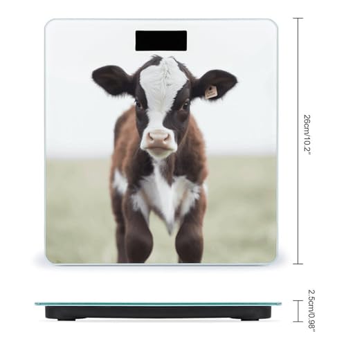 Báscula de baño digital VstaDank con pantalla LCD y vidrio templado miniatura 2