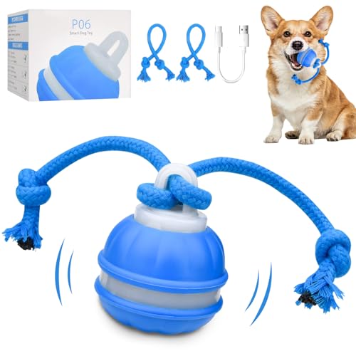 Interaktives Hundespielzeug, Hundespielzeug Ball, Interaktiver Spielball für Hunde Mit 3 Spielmodi, Moving Spielball Dog Toys Hunde Ball Hundeball Elektrisch Ball für Kleine Hunde & Welpen (Blau)