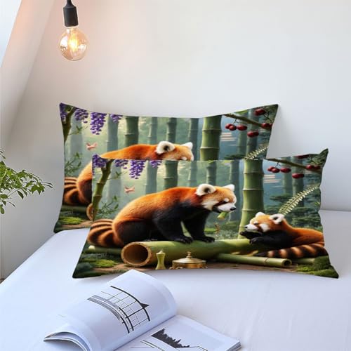 Housse de Couette 90x190 cm Lavable en Machine et Microfibres Résistantes