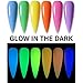 SXC Cosmetics Poly Gel Nail Kit Zodiac Series 1 Glow in The Dark All-in-One Gel Nail Art Extension Starter Kit G-09