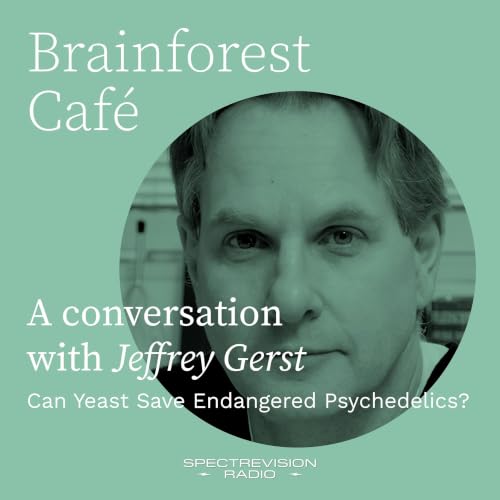 Can Yeast Save Endangered Psychedelics?