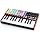 APC Key 25