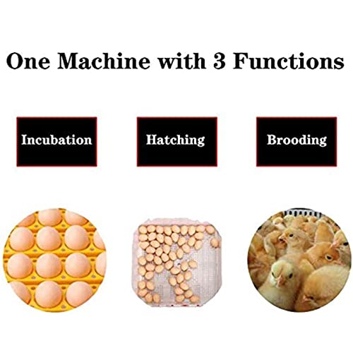 24 Egg Incubator Automatic Turn Hatcher, Home Farm Incubator Brutmaschine mit Temperaturregelung, Digitaler… – Bild 5