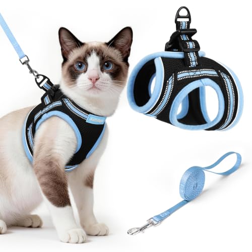 Image of rabbitgoo Cat Harness and Leash Set, Step-in Soft Vest, Black & Light Blue | Escape Proof, Lightweight, Easy-on & Adjustable, Hook & Loop with Buckle, Reflective, for Small Cats Walks, L