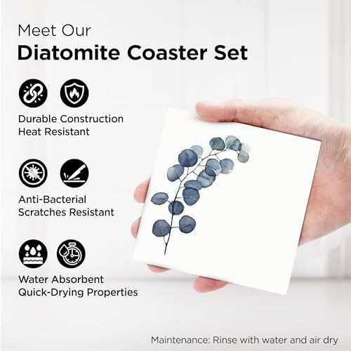 Image of The Better Home Diatomite Coasters Set of 6 with Holder (Dia - 10cm) | Dining Table Decor Accessories | Cups /Coffee Mugs /Glasses Coaster Set | Glass Cover Lid