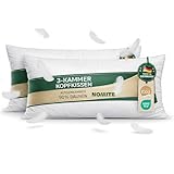 Hatchka Made in Germany 2er Set Daunenkissen 40x80 | 3-Kammer Kopfkissen 40x80 Daunen und Federn | Allergiker geeignet Kissen I Tierwohl (DOWNPASS) | Oeko-TEX Klasse 1 | Federkissen