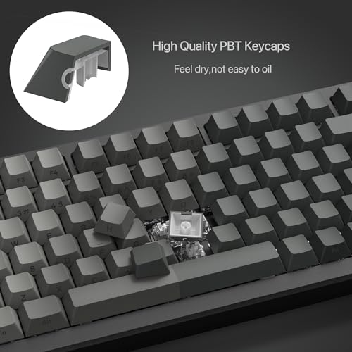 Image of dagaladoo Double Shot PBT keycaps for Mechanical Keyboard,Shine Through keycap Cherry Profile,Gradient Grey,Side Printed Keyboard caps for Mechanical Gaming Keyboards(121key,only keycaps)