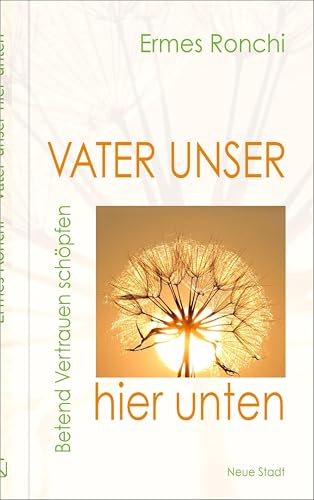 Vater unser hier unten: Betend Vertrauen schoepfen