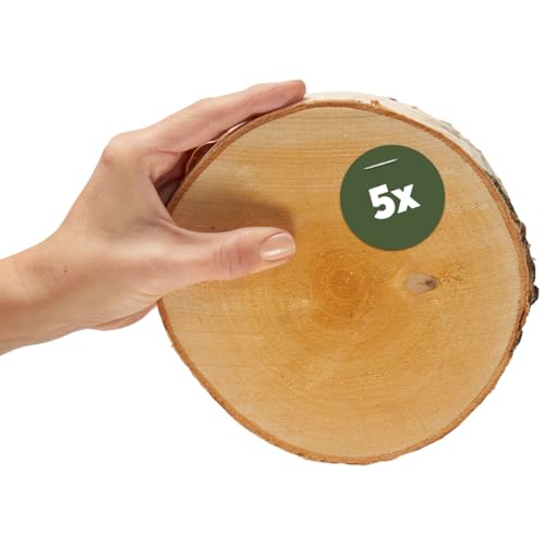 Kleine Holzscheiben 16 cm zum Holz-Deko Basteln - 5 Stk. runde EU Birkenholz Baumscheiben