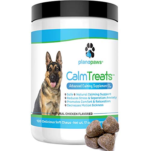 Top 10 Best Motion Sickness Medicine For Dogs in 2024 Reviews by Experts
