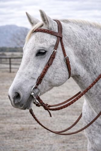 CHALLENGER Horse Western Full-Grain Leather Braided Horse Headstall Bridle w/Reins 78J03