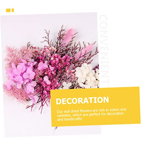 Kit de flores secas para manualidades y decoración miniatura 4