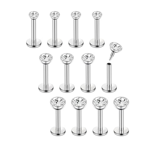 Chriscoco 16G 12Pcs Piercing Oreja, Nariz, Labio, Helix y Tragus de Acero Quirúrgico Con Hilo Interno 6mm Para Mujeres y Hombres - Plata