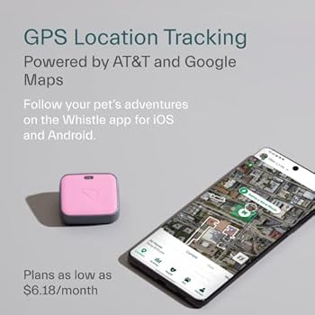 whistle gps tracker
