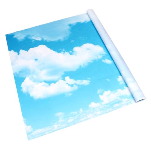 Toile de fond bleu ciel en dacron solide pour portrait photo haut de gamme
