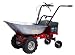 EUROSYSTEMS Carry MOTOCARRIOLA SEMOVENTE A Doppia Batteria (300 W-24 V) - Made in Italy