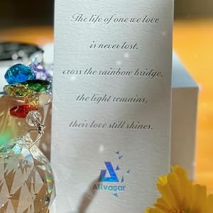   Dog-Memorial-Gifts-Paw-Print-Sun-Catcher-Dogs-Cats-Pet-Remembrance-Crystal-Ball-Window-Suncatcher-Bereavement-Grief-Sympathy-Gift-paw-Multicolour