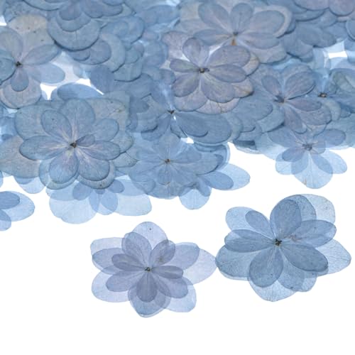 Flores secas prensadas naturales azules 12 piezas para manualidades miniatura 1
