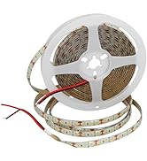 Jandei Ledstrip, 12 V, koudwit, 6000 K, 600 leds, spoel, 5 m, IP65, voor buiten, SMD2835, zelfklevende basis