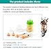 YeulYuuri Pet Feeding Bottle and Syringe Set for Puppies and Kittens(1 Bottles,2 Syringes,6 Nipples), Green