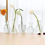 Lynnsdecor Set of 5 Small Table Vase Mini Vase Thick Glass Vase for Centerpiece