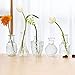 Lynnsdecor Set of 5 Small Table Vase Mini Vase Thick Glass Vase for Centerpiece