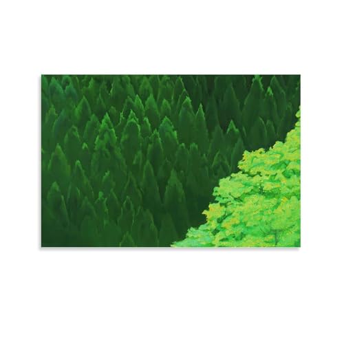  R@ i R |X^[ LoX A[gpl |X^[ ǃA[g _ rO xbh[  ʉ24x36inch(60x90cm)