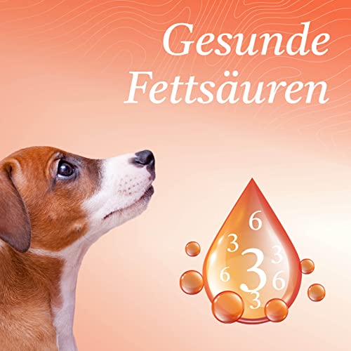 Martenbrown® 1 Liter Norwegisches Premium Lachsöl für Hunde, Pferde und Katzen | Fischöl aus der Flasche | für Trockenfutter, Dosenfutter oder als Barf-Öl