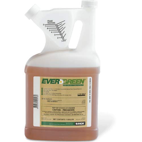 MGK EverGreen® Pyrethrum Concentrate | OMRI Listed for Organic Production | Pyrethrin Insecticide Spray | For Indoor or Outdoor Applications | 1 Gallon