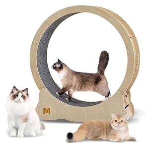 Cat Exercise Wheel for Indoor Cats Treadmill, Cat Running Wheel with Carpeted Runway, 35.8 inch Cats Fitness Weight Loss Device Suitable for Most Cats.(M)