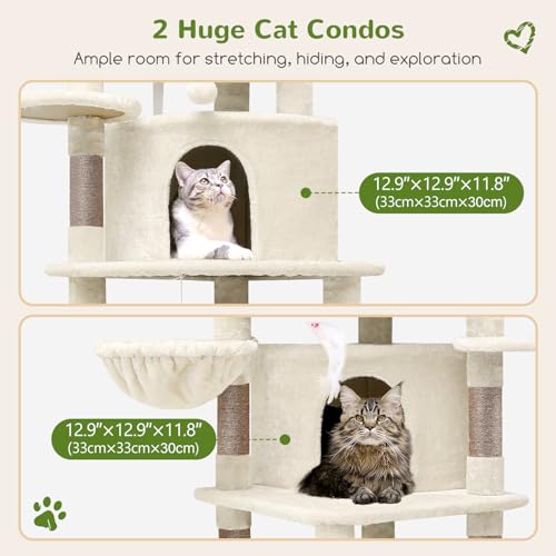 Arbre à chat pour grand chat avec hamac et panier stable Globlazer C66