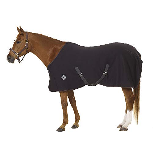 Centaur Turbo Dry Cooler - BLACKXLRG HORSE