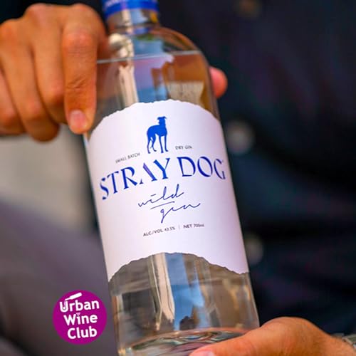Johnny Livanos & Greece's First Wild Gin - Stray Dog cover art