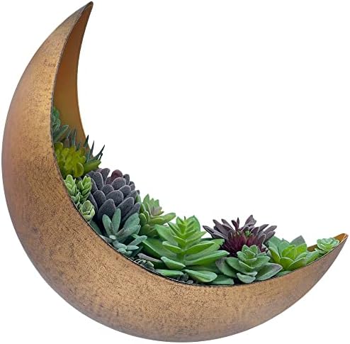 AERLO Wall Mounted Metal Moon Planter - Hanging Crescent Pot for Succulents, Air Plants, Cacti - Boho Indoor Outdoor Celestial Wall Decor for Bedroom, Bathroom, Living Room, Nursery - Rustic Gold