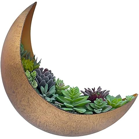 AERLO Wall Mounted Metal Moon Planter Cover