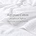Superior 100% Egyptian Cotton Solid Bath Sheet Set, White, 2-Piece