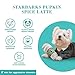 Haute Diggity Dog Starbarks Pupkin Spice Latte, Plush Designer Dog Toys with Interactive Squeaker, Stimulating Pet Enrichment, Machine-Washable & Safe Materials for All Breeds, One Size