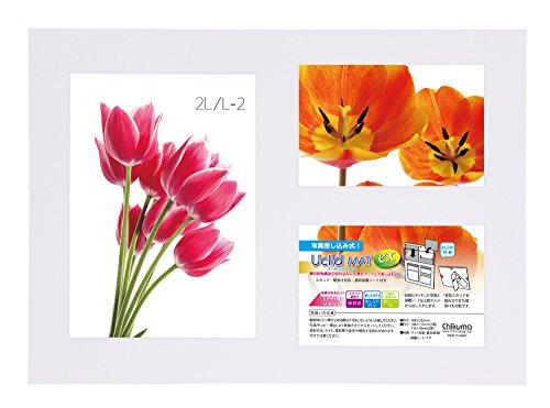 Chikuma フォトスタンド UclidマットEX 2L/L判2面 ブライトホワイト 18641-0