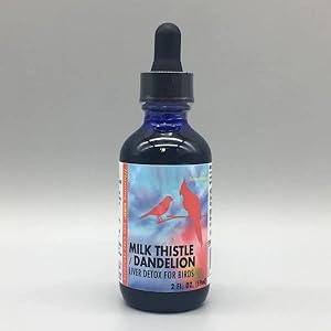 Morning Bird MILK THISTLE DANDELION 1oz 2oz detoxify a bird’s liver and to promote good liver health in Birds Finches Canaries Budgies (2oz)