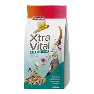 Beaphar | XtraVital Large Parakeet Bird Food | Complete food with Raisins, Rose Hip, Echinacea, & Egg Food | Rich in Vitamins & Minerals for Optimum Health | 500g