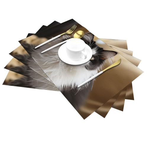 Sets de table lavables pour protéger la table des taches lot de 6 PVC