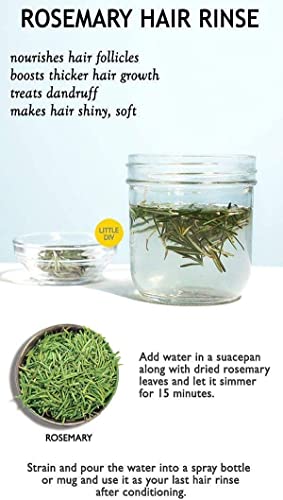 Honolyrosemary Dried Leaves - 90 Gm - For Hair Growth & Rosemary Leaf Tea - Organic Dry Herb, 3.1747 Ounce #TOP4
