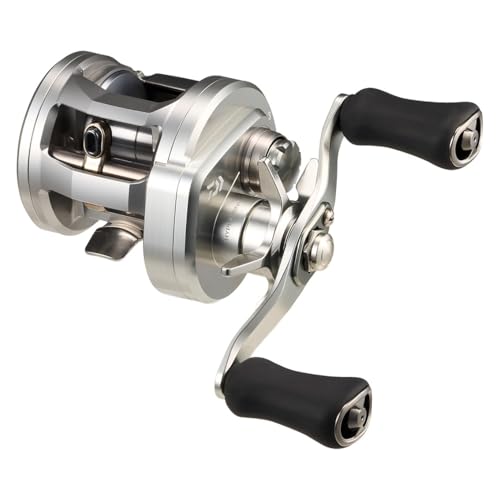 ダイワ(DAIWA) ベイトリール 26RYOGA(リョーガ) 150PL (B0FX2PBBYN) Amazon価格推移・価格追跡