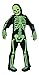 Fun World Green Skelebones Costume, Large 12-14, Multicolor