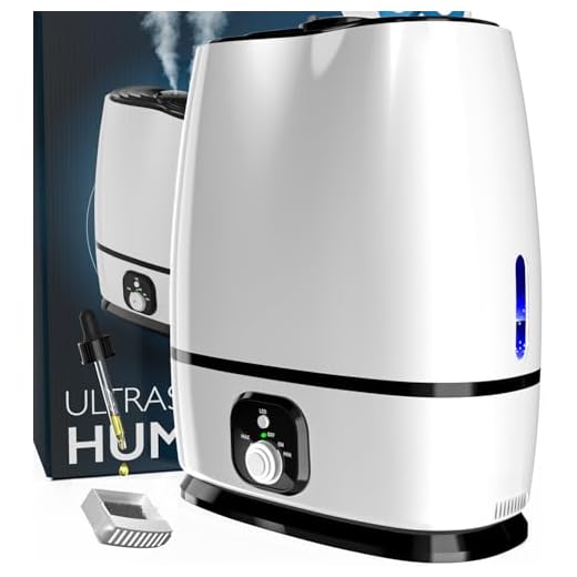 Everlasting Comfort 6L Quiet Humidifier
