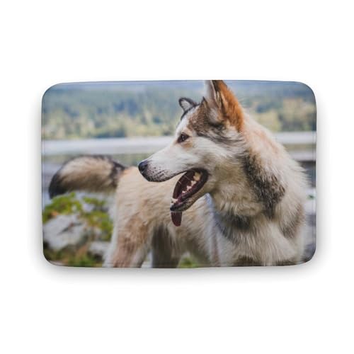 Č  L  oX}bg z/唻 փ}bg  O    ~ Aj LN^[ @}bg   ʏ