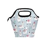 Lunch Box for Girls Cute Llama Lunch bag Alpaca Insulated Prep Kids Cooler Blue Tote Bag Meal Bag fo
